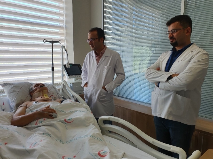 Ceviz Ve Kestane Ağacından Düşen 150 Kişiden 15’i Yoğun Bakımda