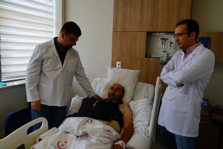 Ceviz Ve Kestane Ağacından Düşen 150 Kişiden 15’i Yoğun Bakımda