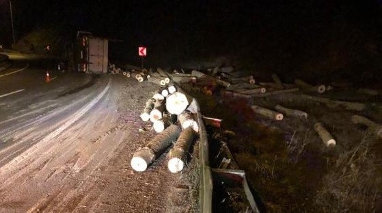 Kavak Yüklü Kamyon Devrildi; 1 Yaralı