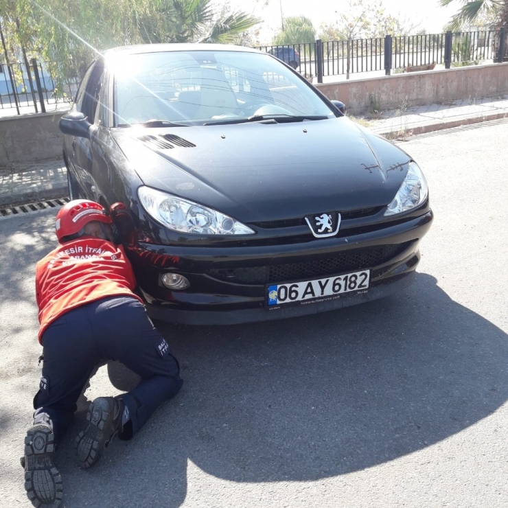 Burhaniye’de İtfaiyeden Kedi Kurtarma Operasyonu