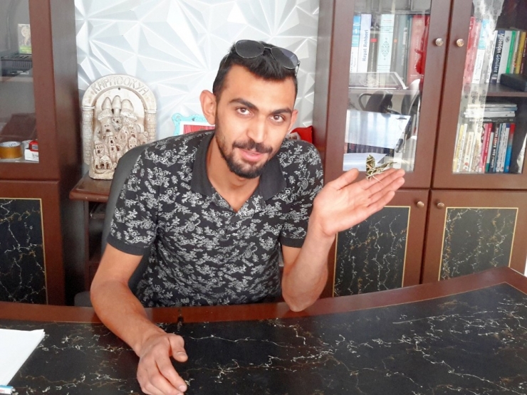 Konya’da Askeri Kamuflaj Desenli Kelebek Bulundu