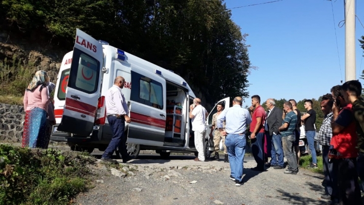 Patpata Çarpan Pikap Şarampole Uçtu: 4 Yaralı