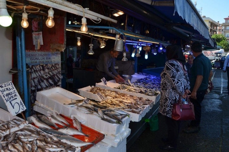 Hamsinin Fiyatı Bu Sezon İlk Kez Bu Kadar Düştü