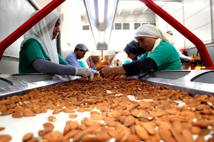 Adıyaman Bademi Zincir Marketlerin Raflarında