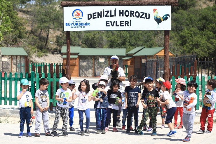 Büyükşehir Bir Yılda 10 Bin 200 Sokak Hayvanına Müdahale Etti