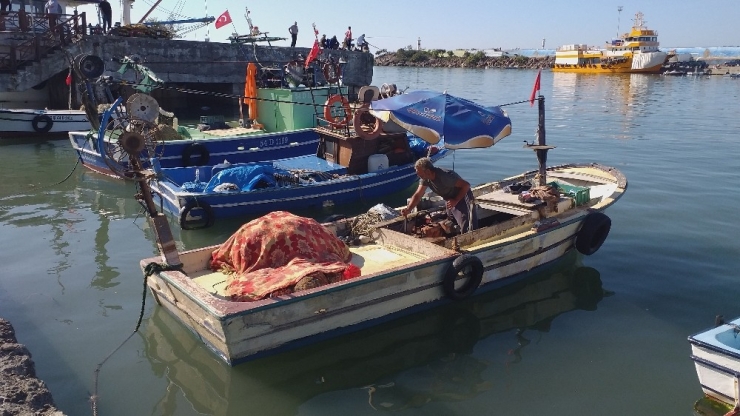 Balıkçılar Umudunu Hamsiye Bağladı