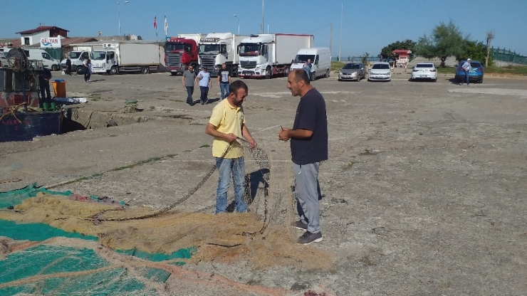 Balıkçılar Umudunu Hamsiye Bağladı