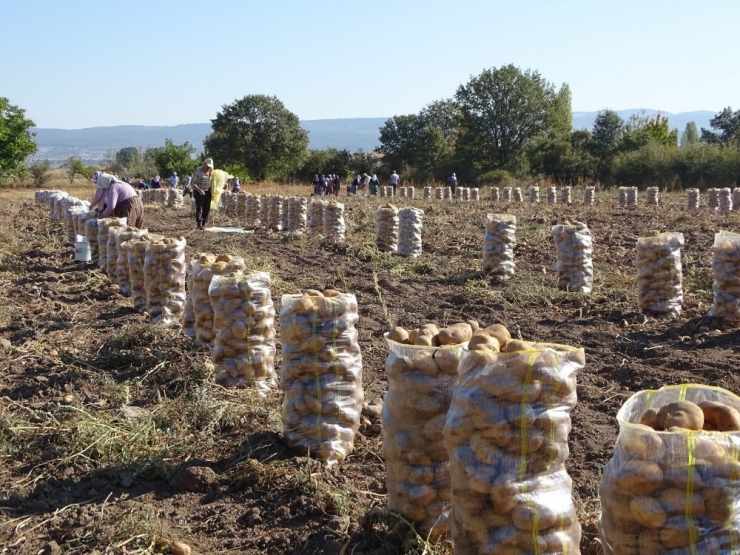 Bilinçli Yapılan Tarım Kazandırıyor