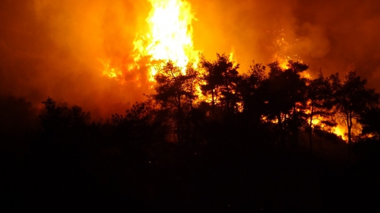 Bursa’da Çıkan Orman Yangını 4 Saatte Kontrol Altına Alındı