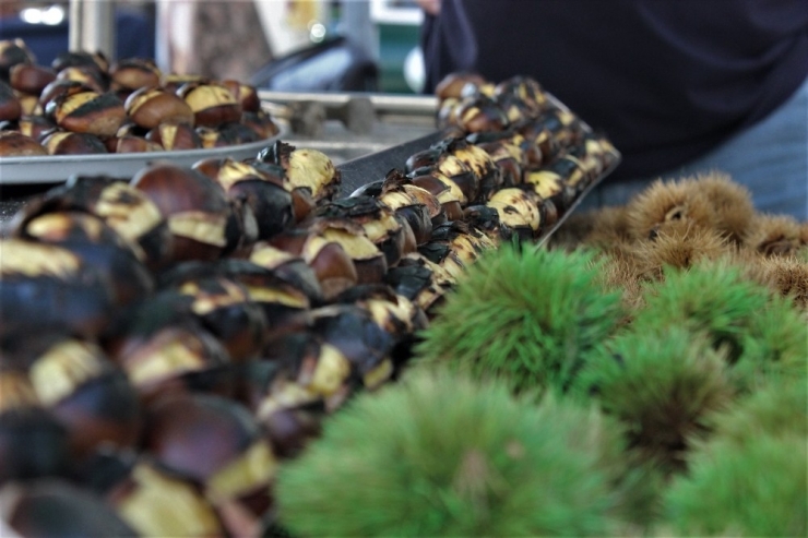 Dalında 10 Lira, Mangalda 70 Lira