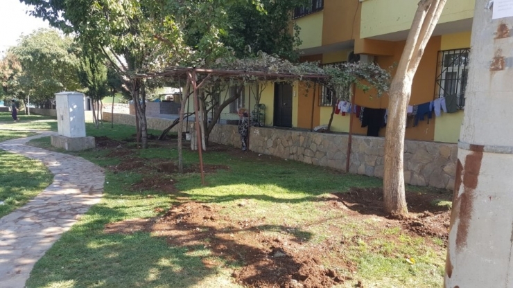 Bağlar Belediyesi, Parkların Görüntüsünü Bozan Yapı Ve Tel Örgüleri Kaldırıyor