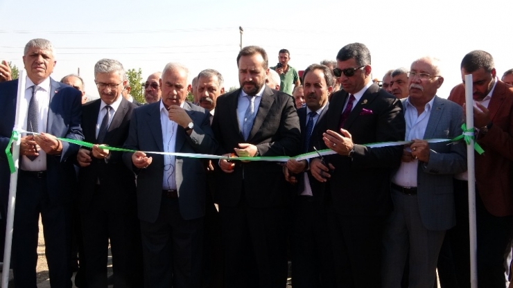 Elazığ’da 165 Bin Ton Üretimi Beklenen Pancarın Alım Kampanyası Başladı