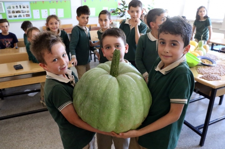 Öğrencilerden 42 Kiloluk Bal Kabağı