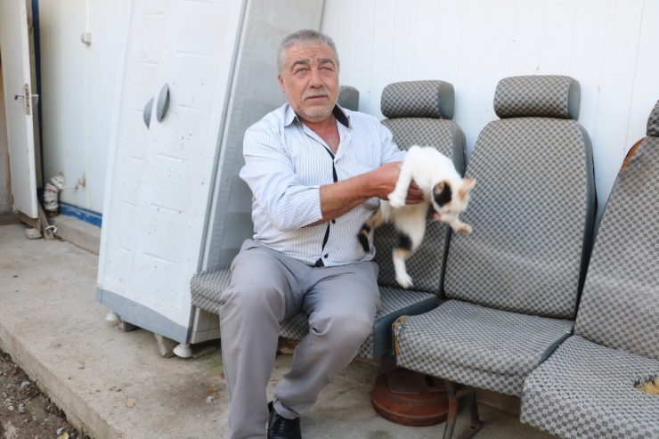 Sivas’ın Avcı Kedileri Avladıkları Yılanlarla Besleniyor