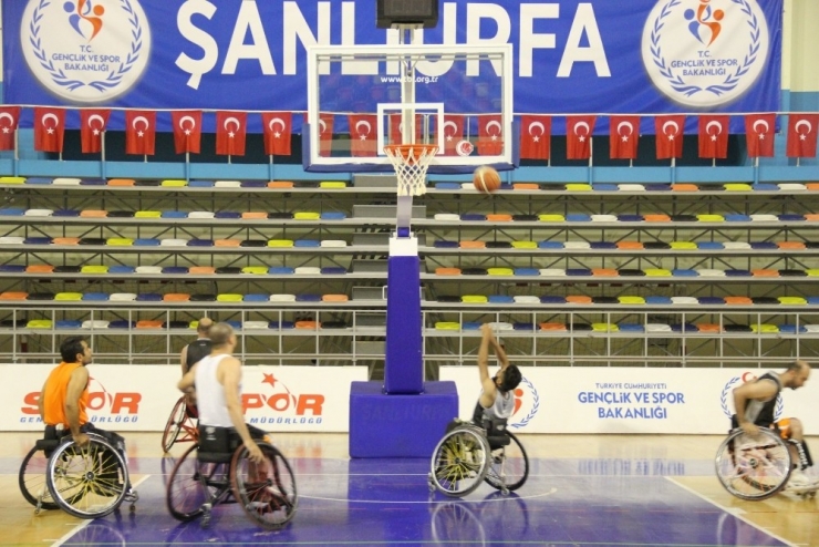 Potada Rakip Beşiktaş