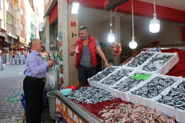 Türkeli’de Hamsi Bereketi