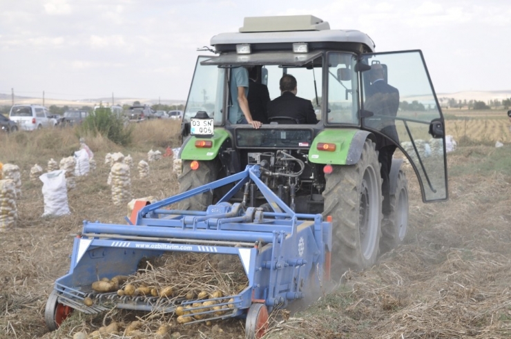 Şuhut’ta Kışlık Patates Hasadı Başladı