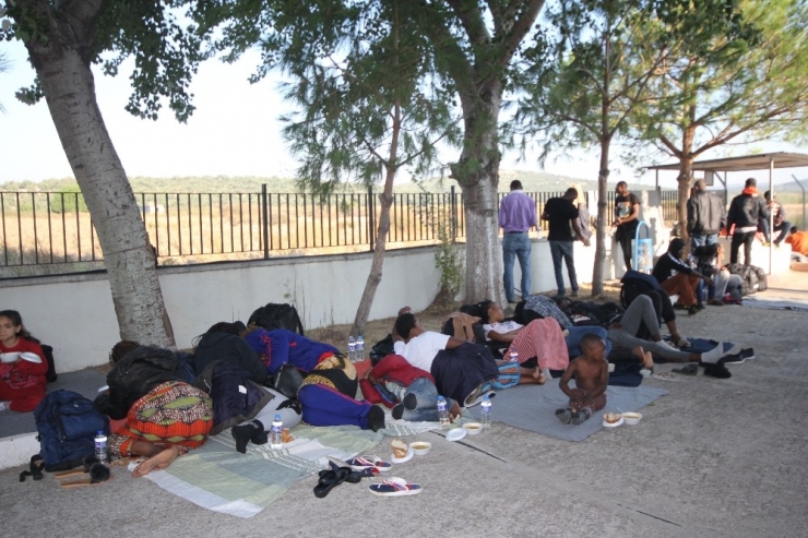Ayvalık’ta 91 Düzensiz Göçmen Jandarmadan Kaçamadı