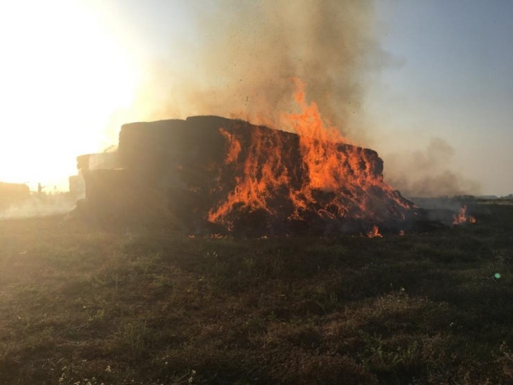 Ceyhan’da Binlerce Saman Balyası Yandı