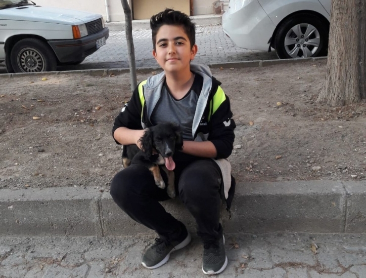 Minikler, 4 Ekim Dünya Hayvanları Koruma Günü’ne Dikkat Çekti