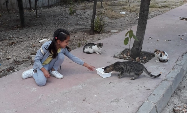 Minikler, 4 Ekim Dünya Hayvanları Koruma Günü’ne Dikkat Çekti