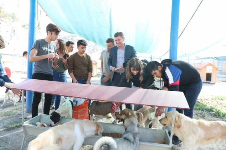 Başkan Ercengiz, Hayvanları Koruma Gününü Öğrencilerle Kutlandı