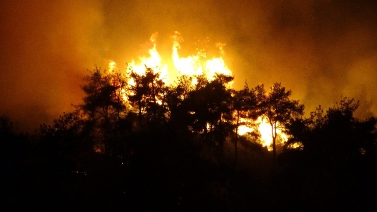 Bursa’daki Orman Yangınının Bilançosu Havadan Görüntülendi