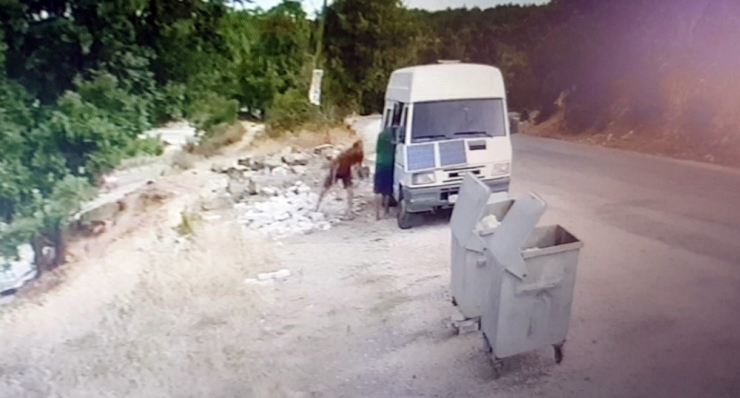 Çanakkale’deki Sözde Çevrecilerin Hırsızlık Anları Kameraya Yansıdı