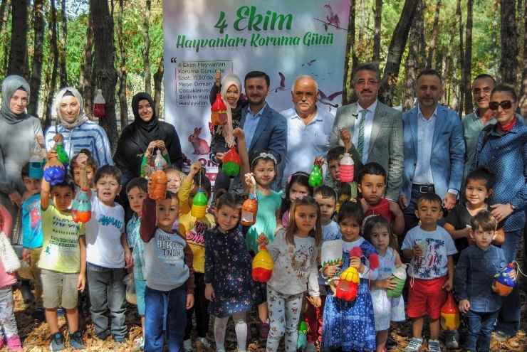 Canik Belediyesinden Hayvan Hakları Etkinliği