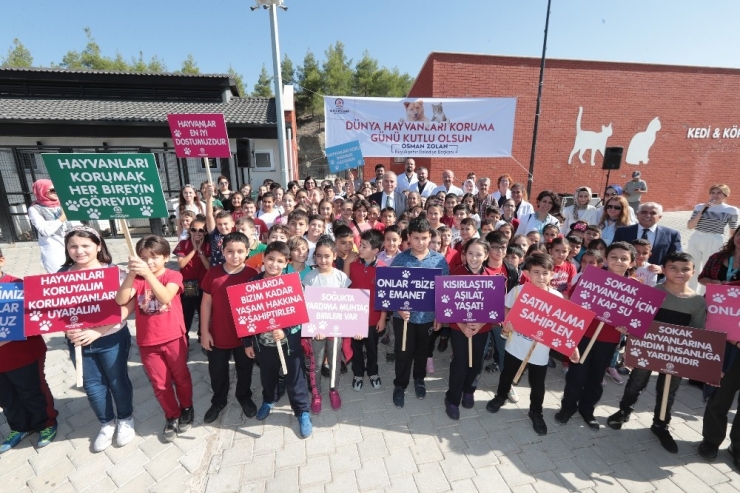 Peçeli Baykuş Dünya Hayvanları Koruma Günü’nde İlgi Odağı Oldu