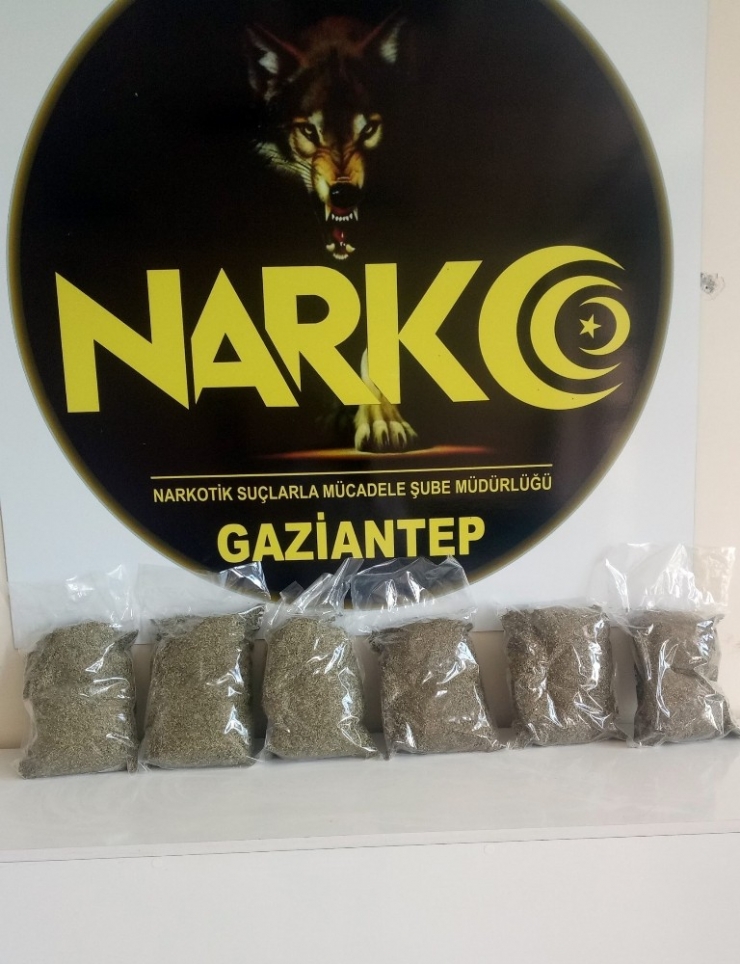 Gaziantep’te Bonzai Operasyonu: 10 Gözaltı