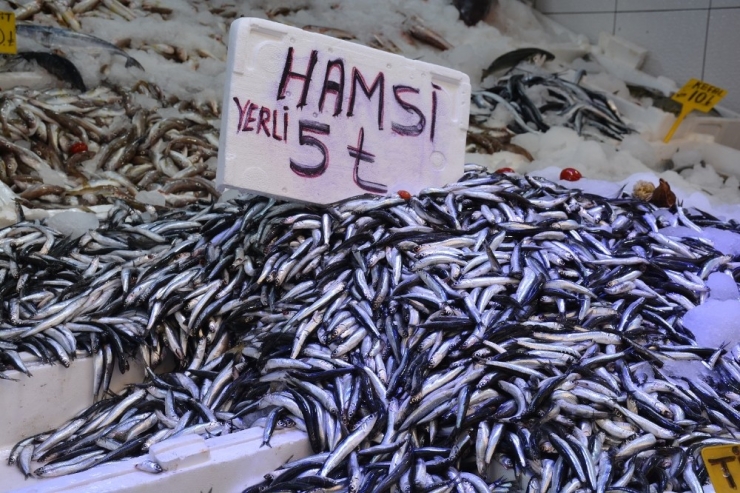 Hamsinin Fiyatı Dibi Gördü