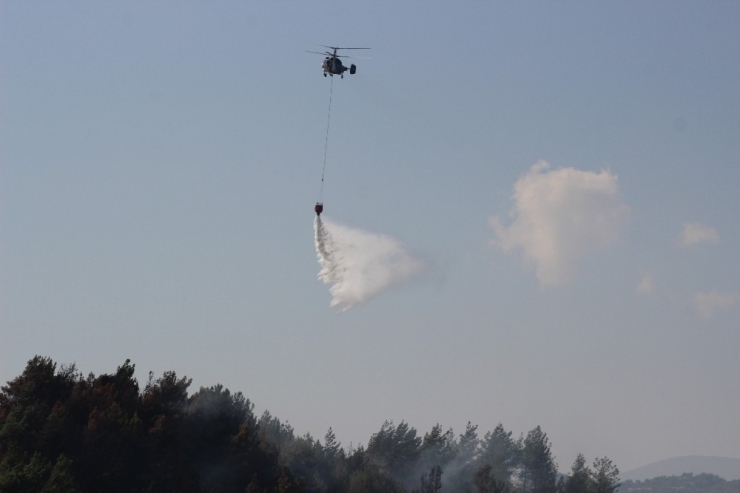 Hatay’da Orman Yangını