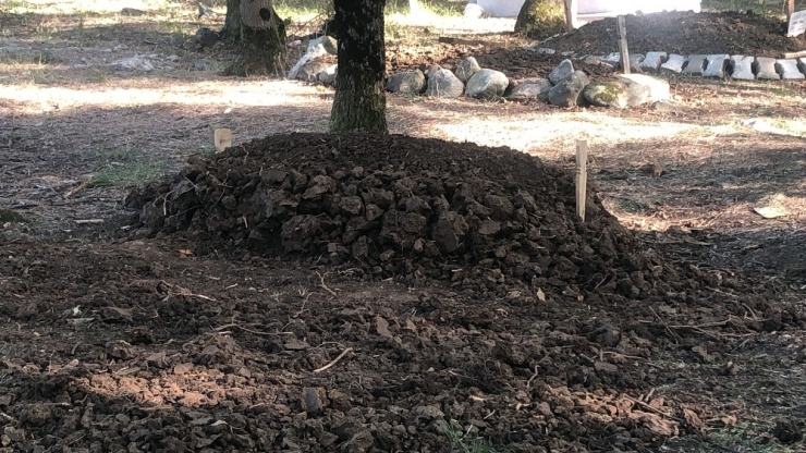 9 Yaşındaki Çocuk Mezarlık Kapısına Kendisini Astı