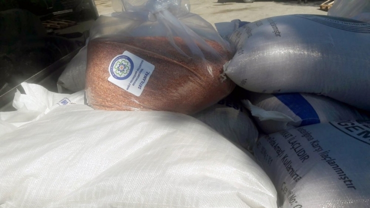 Büyükşehir’den Hayvancılığa Yem Bitkisi Desteği