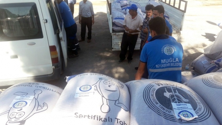 Büyükşehir’den Hayvancılığa Yem Bitkisi Desteği