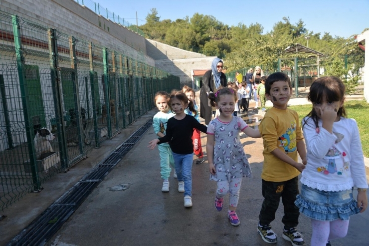 Öğrencilerden Sokak Hayvanları Tedavi Merkezine Ziyaret