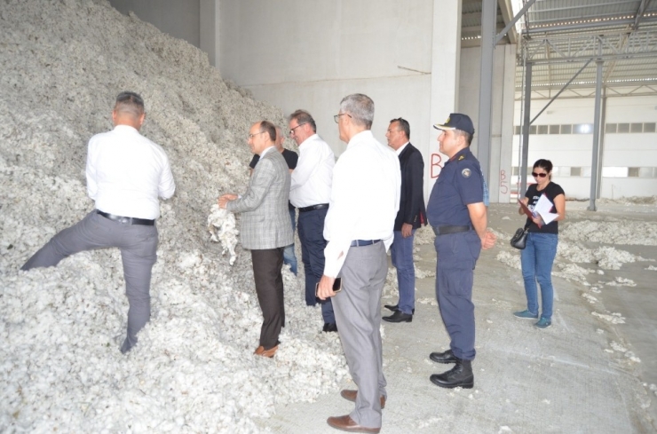 Söke’de Pamuğa Kalite Denetimi