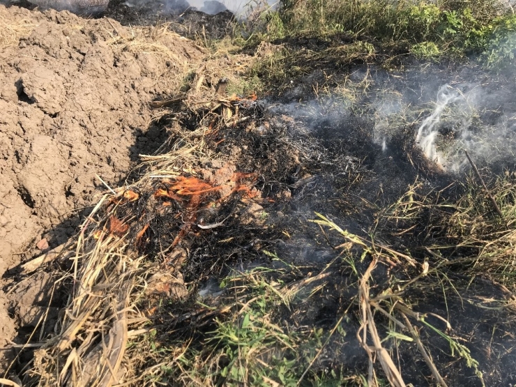Şehrin Üstündeki Dumanın Anız Yangınlarından Çıkan Duman Olduğu Belirlendi