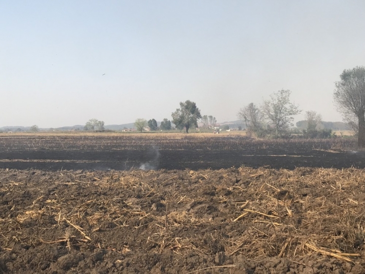 Şehrin Üstündeki Dumanın Anız Yangınlarından Çıkan Duman Olduğu Belirlendi