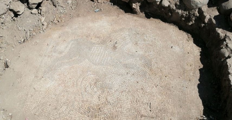 Roma Dönemine Ait 2 Bin Yıllık Mozaikler Ele Geçirildi