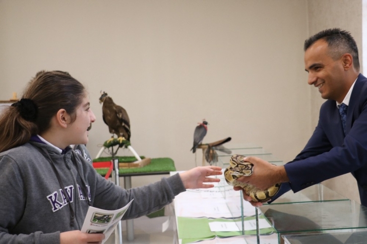 Bakmaya Cesaretleri Yoktu, Boyunlarına Doladılar