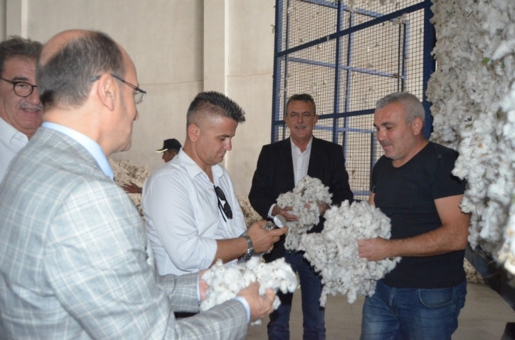 Söke’de Pamuğa Kalite Denetimi