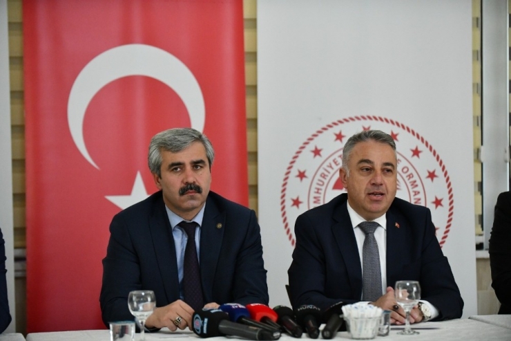 Türkiye Sülük Salgısından Milyar Dolarlar Kazanacak