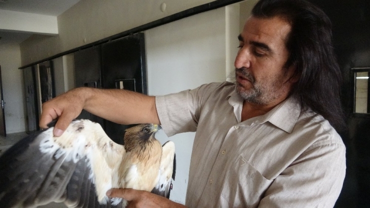 4 Ekim Dünya Hayvanları Koruma Günü