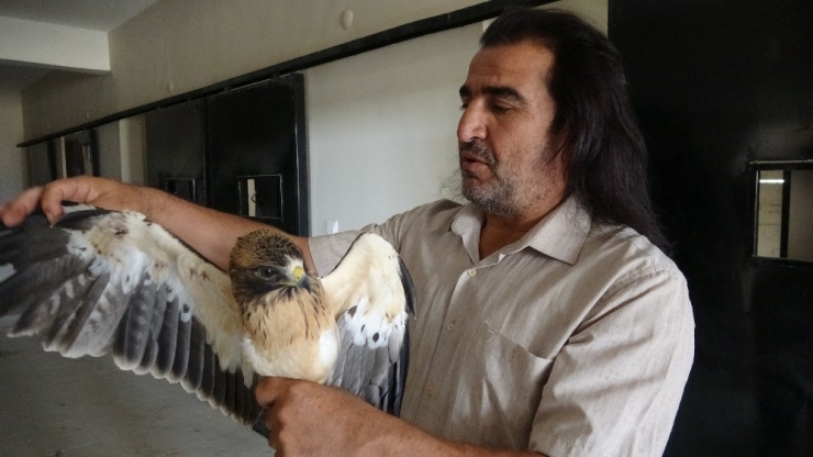 4 Ekim Dünya Hayvanları Koruma Günü