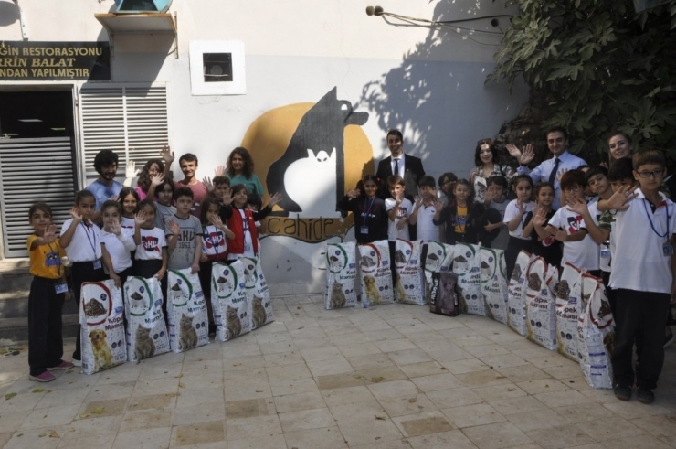 Gkv’den ‘Bir Tabak Mama, Bir Kucak Mutluluk’ Projesi