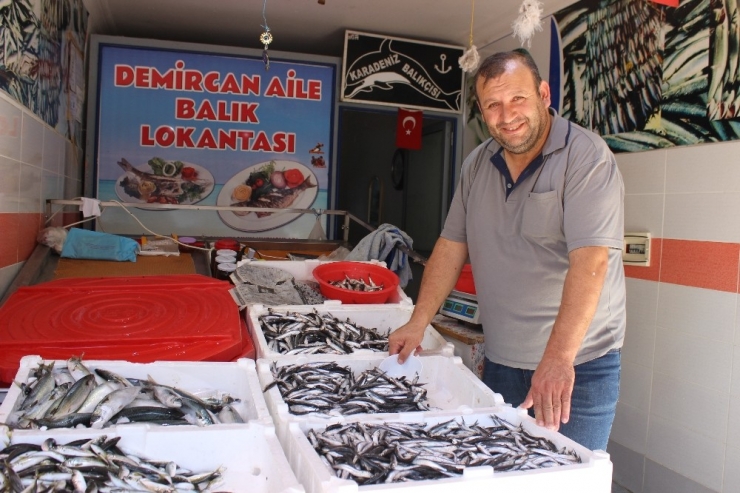 5 Liraya Kadar Düşen Hamsi, Hem Satıcıları Hem Alıcıları Sevindirdi
