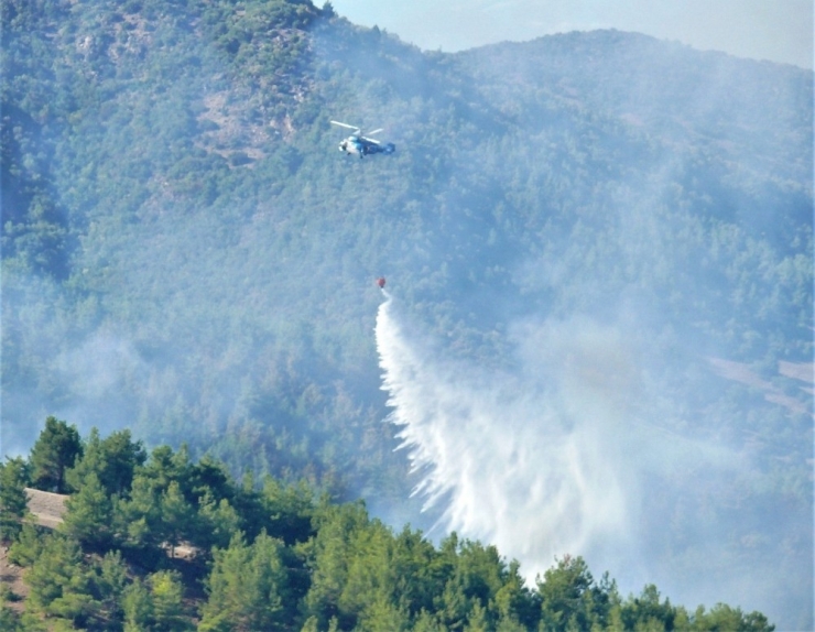 Arsuz’da Orman Yangını