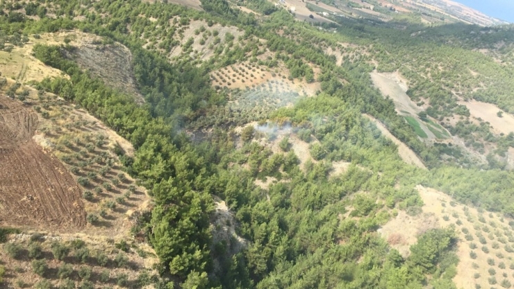 Dörtyol’da Orman Yangını